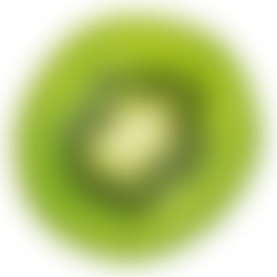 https://kulphis.com/wp-content/uploads/2017/05/kiwi.png